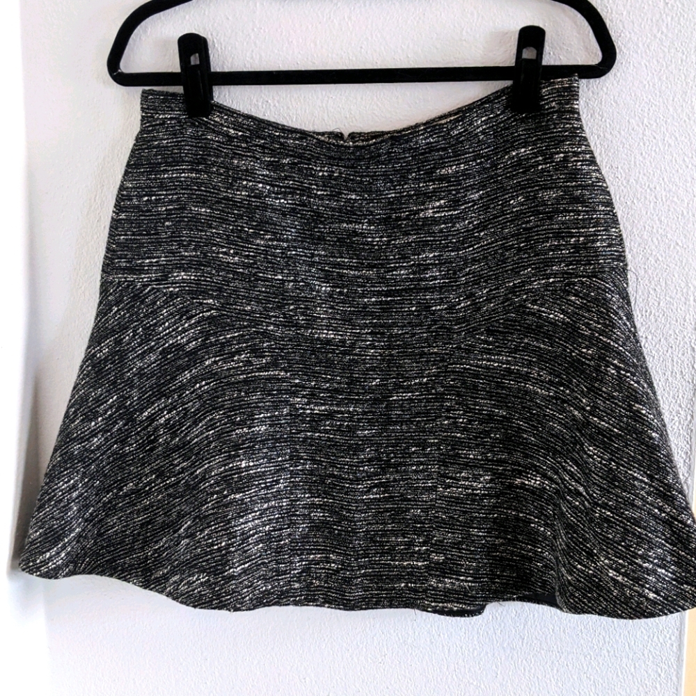 JCrew Skater skirt